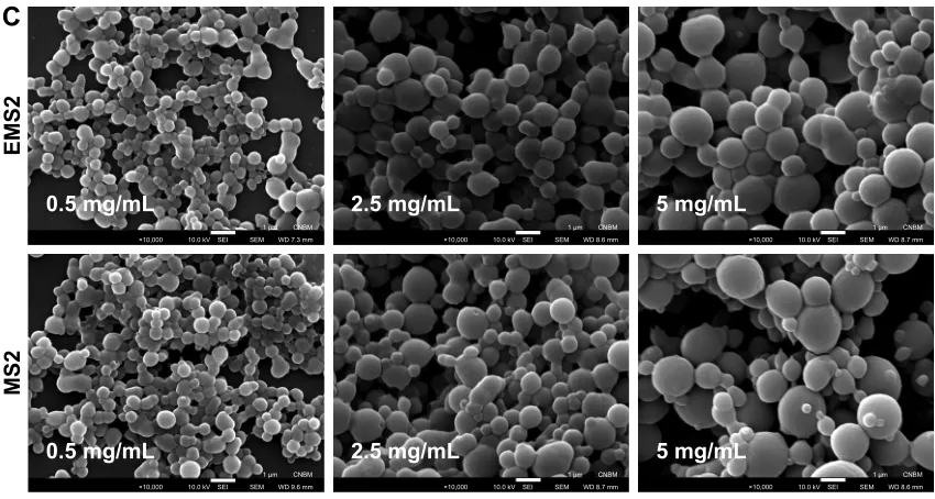 Table 1 The size and ZP of eMs2 and Ms2 silk spheres