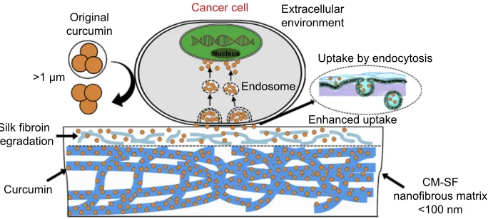 Figure 4 Schematic representation showing the mechanism of enhanced cellular uptake efficiency of implantable nanofibrous drug delivery platform by using the SEDS processing method.Note: Reprinted from Biomaterials