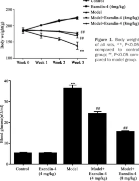 Figure 1. Body weight of all rats. **, P<0.05 