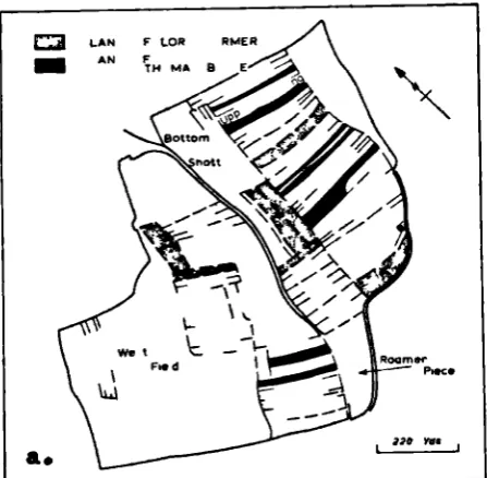 FIG. 7. Two areas of common arabli in the central Chilterns c.1650.a. in Great Kaiupden b