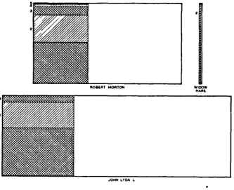 FIG. 13. Three holdings in Great Hampden, 1653.Each rectangle represents one complete holding,
