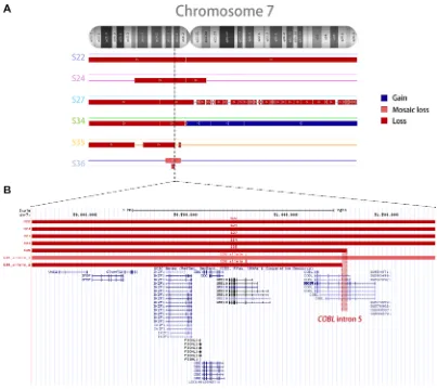 Figure 1: Copy number alterations in the chromosome 7 of six samples (S22, S24, S27, S34, S35, and S36) with complete deletion of IKZF1