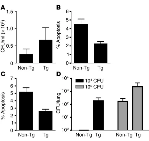Figure 7Mcl-1 transgenic mice demonstrate decreased AM apoptosis and 