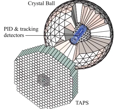 Figure 2. The Crystal Ball/TAPS detector setup. The sphericalCrystal Ball detector can be seen with cut-away section, showingthe inner detectors, and the TAPS forward wall.