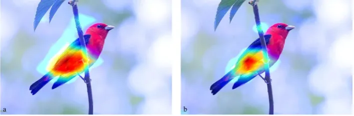 Figure 5. Detection Result: (a) Low Brightness (b) High Brightness  