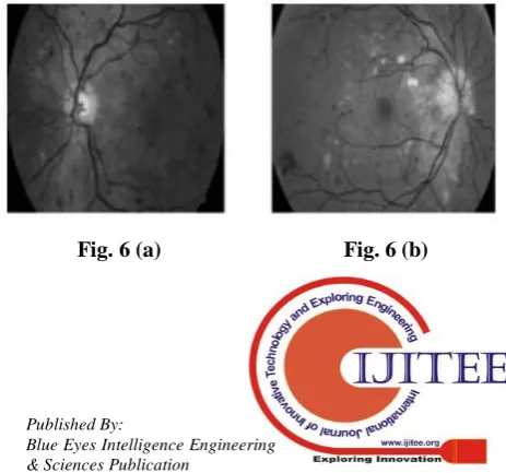 Fig. 3 Illumination Equalization 
