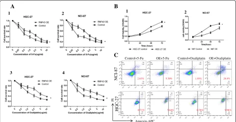 Fig. 3 RNF43 OE affects proliferation and chemoresistance of GC cells through drug-induced apoptosis.were treated with 5-Fu and oxaliplatin in different concentrations, and then cell viability was determined by CCK-8 assay