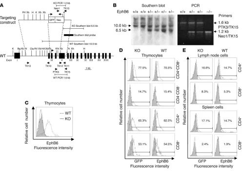 Figure 1Generation of 