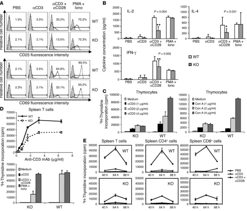 Figure 3Compromised in vitro function of difference between KO and WT cell proliferation shown in all the panels in Samples were in duplicate