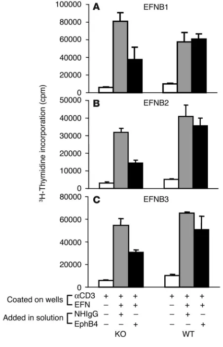 Figure 5EphB6 received stimulation from all 3 EFNBs. 