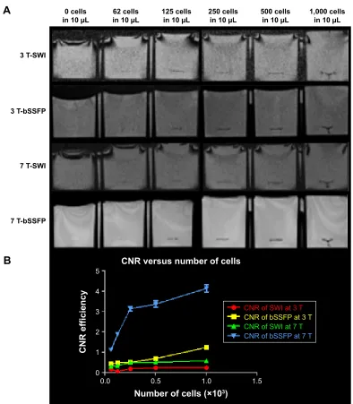 Figure 5 (A) sWI and rMs combined phase-cycled bssFP images of different concentrations of cells (about 0, 62, 125, 250, 500, and 1,000 cells in 10 µl medium) injected into the gelatin phantom at 3 and 7 T
