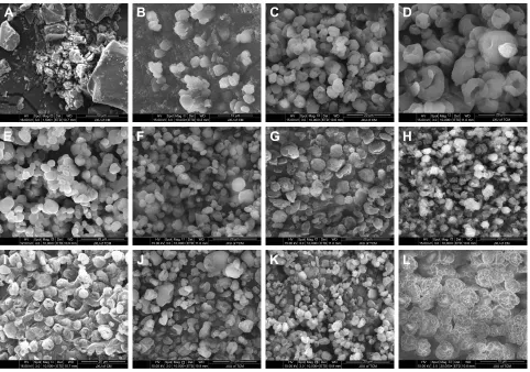 Figure 5 seM of ag and coarse ag and representative ag-Nc-sD.Notes: (A) coarse ag; (B) ag-Nc-sD (s1); (C) ag-Nc-sD (s3); (D) ag-Nc-sD (s4); (E) ag-Nc-sD (s7); (F) ag-Nc-sD (s10); (G) ag-Nc-sD (s12); (H) ag-Nc-sD (s14); (I) ag-Nc-sD (s16); (J) ag-Nc-sD (s17); (K) AG-NC-SD (S18, magnification 10,000×); and (L) AG-NC-SD (S18, magnification 20,000×).Abbreviations: ag, andrographolide; Nc, nanocrystal; s, sample; sD, solid dispersion; seM, scanning electron microscopy.