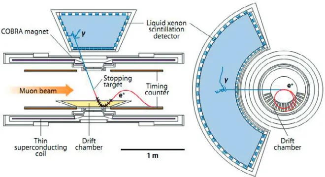 Figure 2. The MEG detector.
