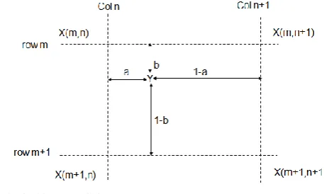 Fig 2.Bicubic Interpolation 