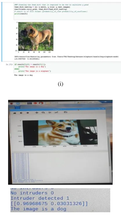 Fig. 6: Image classified as Dog in (i) training model (ii) raspberry pi 