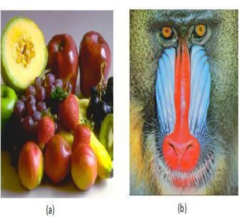Fig. 2. Gray-scale image (a) Input host image (b) Watermark image 