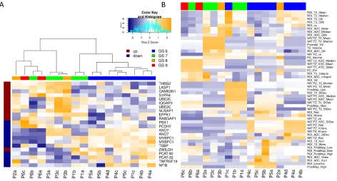 Figure 4 depicts correlations between these genes and 