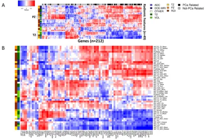 Figure 4: Pearson’s correlation analysis of imaging features and 65 genes from commercially available prostate cancer classifiers
