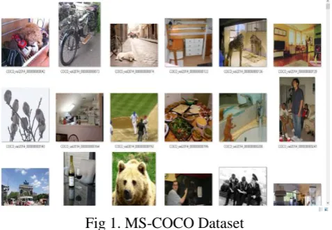 Fig 1. MS-COCO Dataset  