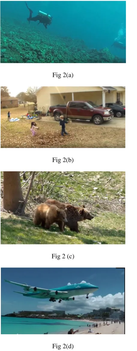 Fig 2(a) 