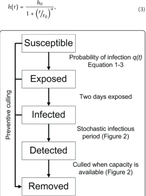 Figure 1 Classification of the farms in the model. Farms areeither susceptible to infection, infected but not yet infectious(exposed), infected and infectious, detected and not infectiousanymore, or removed from the system by culling.