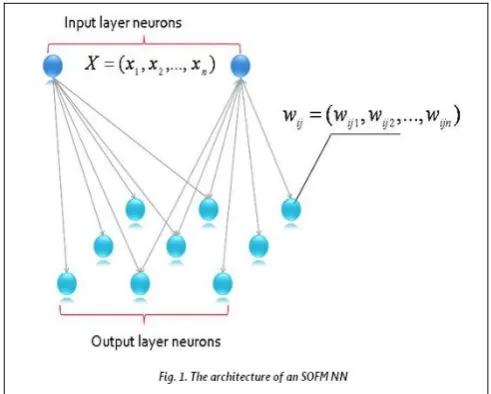 Figure 1: Self-Organized Feature Map (2D) 