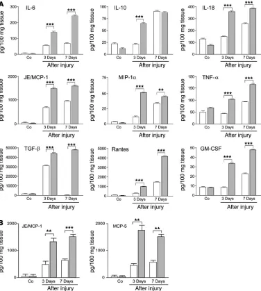 Figure 3Cytokine levels are increased 