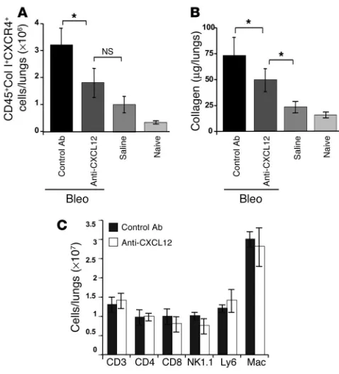 Figure 4Neutralizing anti-CXCL12 Ab’s inhibit intrapulmonary recruitment of 