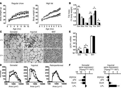 Figure 2Altered adipose tissue distribution in 