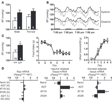 Figure 4Elevated BP in averaged with 12 values each hour. Bolded bars on the (black bars) mice by tail-cuff measurement
