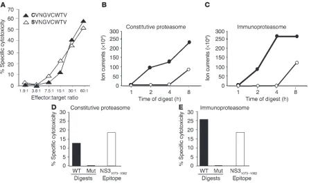 Figure 3NS3