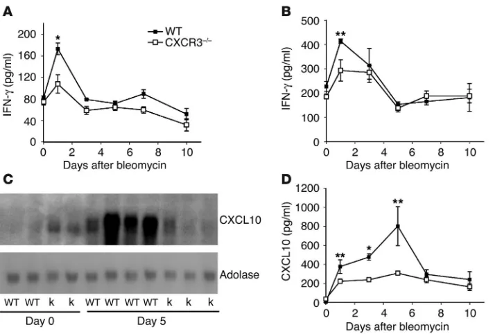 Figure 4Reduced expression of IFN-