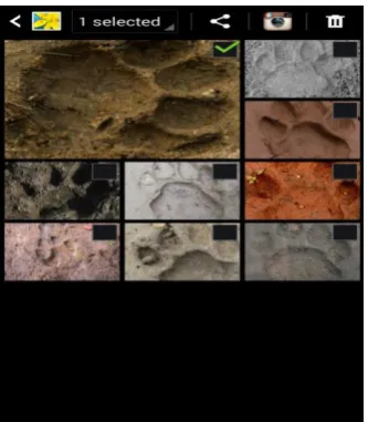 Fig - 3: Result for not matching so  Adding new tiger entry 