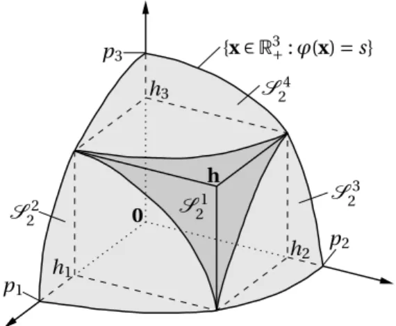Figure 9: Decomposition (12) of the three-dimensional simplex S 1 1 = S (0, p 1 1 ) for the h 1 1 satisfying (41).