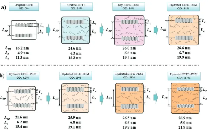 Figure 7b shows a schematic illustration of the change in  the characteristic lamellar sizes of the lamellar period (L 1D ),  amorphous lamellar thickness (L a ), and crystalline lamellar  thickness (L c ) in the hydrated PEMs having GDs of 4.2–117% 