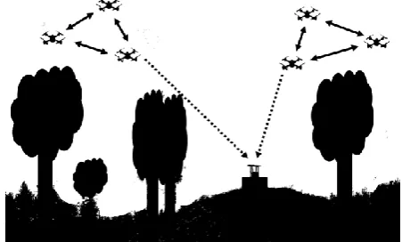 Fig. 2: MRS in stable layout domain (Aerial Robotics) 