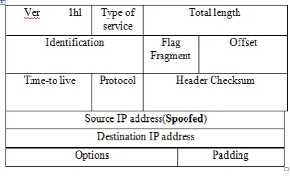 Figure 1: IP header design 