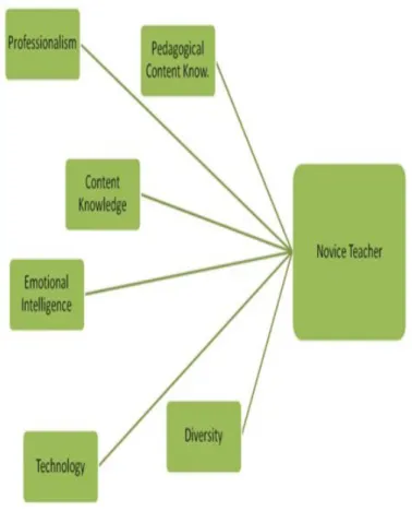 Figure 1. COE conceptual framework strands   for teacher preparation 