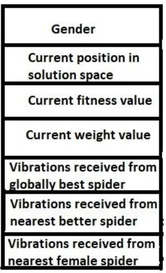 Figure 2:   Representation of a spider in SSO  
