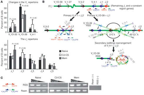 Figure 5Analysis of the VJversus editing rearrangements was determined by PCR using the primer sets indicated to get the ratio of Vat significantly different frequencies between naive (four donors), Cof RSS junctions were determined by PCR at three dilutio
