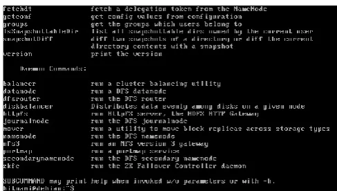 Figure 4: Screenshot of hdfs command of Hadoop distributed file system. 