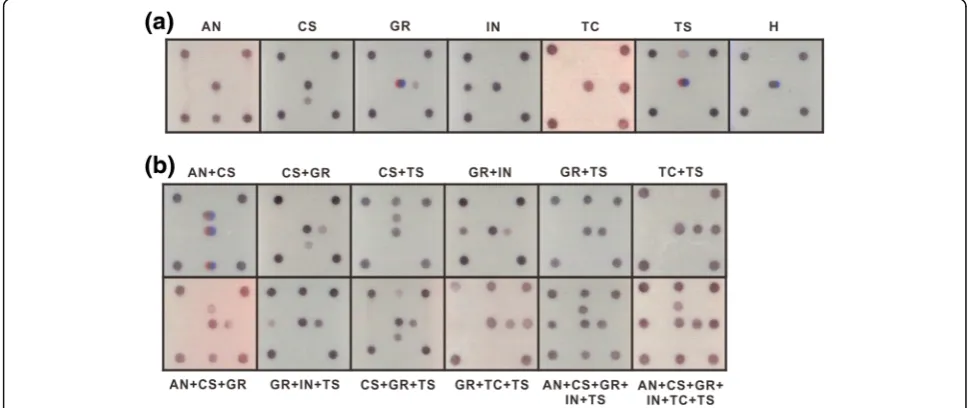Fig. 3 Sensitivity assay of the microarray. The PCR product amplified from pTOPO-TSWV-N using the primer pair Pr-dTS-f/Pr-dTS-r was diluted asshown for the test