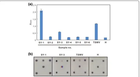 Fig. 5 Application of the microarray for the diagnosis of tospovirus infections in field crop samples.quinoaof Nantou County, Taiwan are indicated as SY-1 to 6