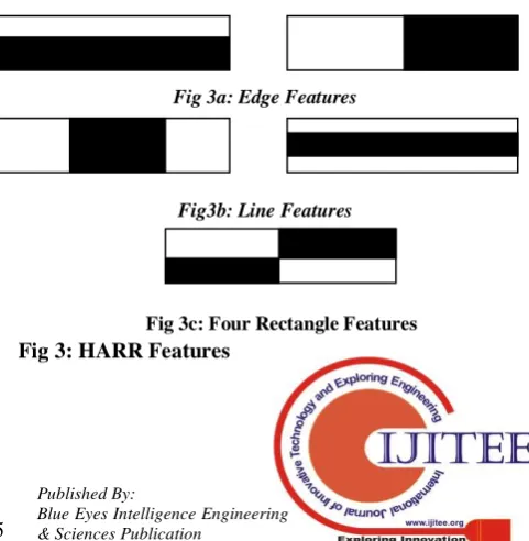 Fig 3a: Edge Features                                                    