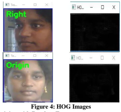 Figure 4: HOG Images           D. Training with Random Forest 