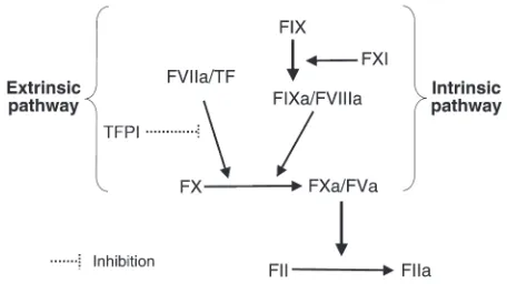 Figure 1Role of FVIIa in coagulation. Coagulation is initiated through the extrin-