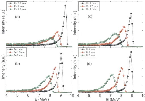 Fig. 4. Experimental setup for measuring the shape and size of the EB. Filled black circles indicate the positions where the B3110 dosimeters were placed.