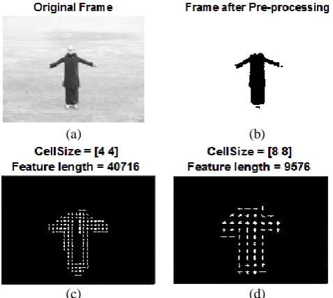 Fig 4.2 (a) Original frame (b) Preprocessed frame (c) resultant gradients with 4x4 cell size (d) resultant gradients with 8x8 cell size [15] 