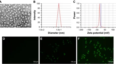 Figure 1 Physicochemical characterization of THA-NPs and fluorescent images of A549 cells treated with different drugs.Notes: (A) TeM image of Tha-NPs; (B) Tha-NP particle size distribution; (C) zeta potential of Tha-NPs; and (D) fluorescent images of A549 cells treated with normal saline for 2 h, (E) treated with a mixture of c6 and MPeg-Pcl for 2 h, (F) treated with c6-loaded MPeg-Pcl NPs for 2 h.Abbreviations: Tha-NPs, nanoparticles loaded with thalidomide; TeM, transmission electron microscopy; c6, coumarin-6; MPeg-Pcl, methoxy poly(ethylene glycol)-poly(ε-caprolactone).