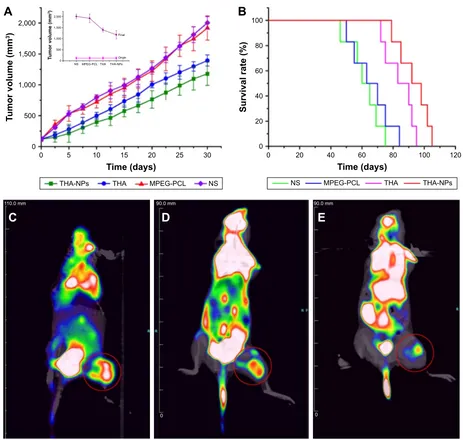 Figure 3 Tumor growth inhibition of Tha-NPs in subcutaneous a549 model and corresponding 18F-FDg PeT images of mice after 1 full day of treatment.Notes: (A) suppression of subcutaneous tumor growth by Tha-NPs in mice; (B) survival curve of mice in each gro